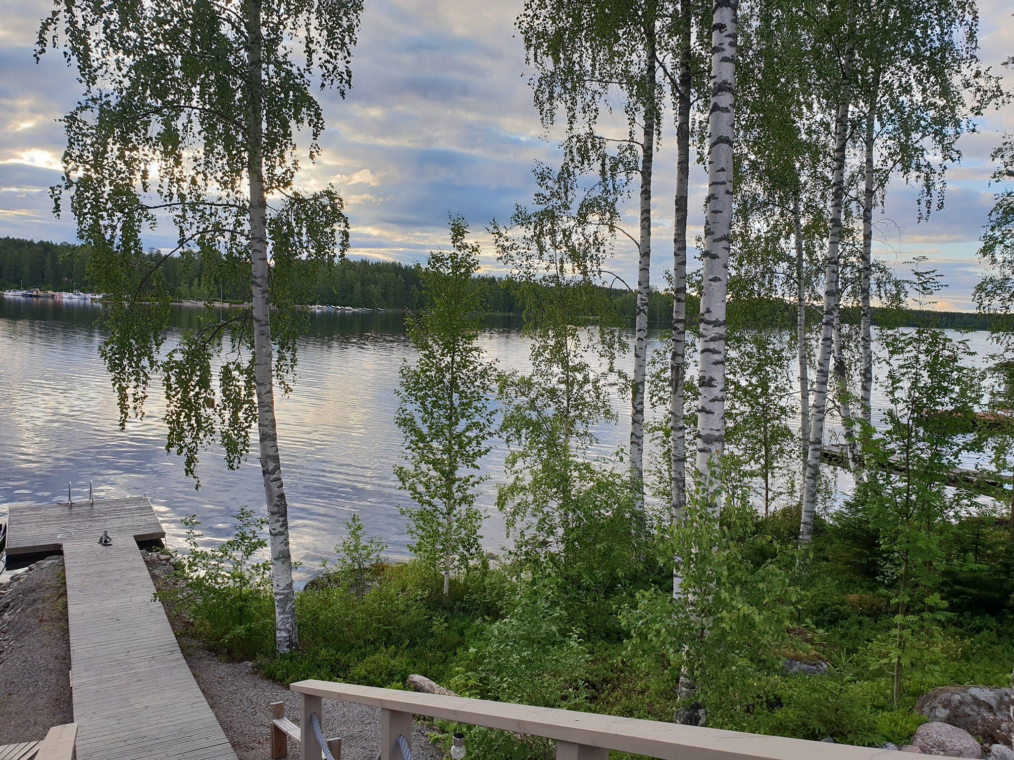 Leif laituri Leif lindeman lataa suomen teillä on liikaa hirviä ja nopeusrajoituksia jättää autobisneksen | tanssiin Fi