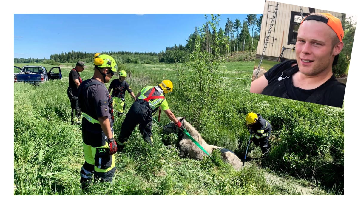 Onnettomuus aki samulin maatilalla  palokunta pelasti uupuneen hevosen | tanssiin Fi