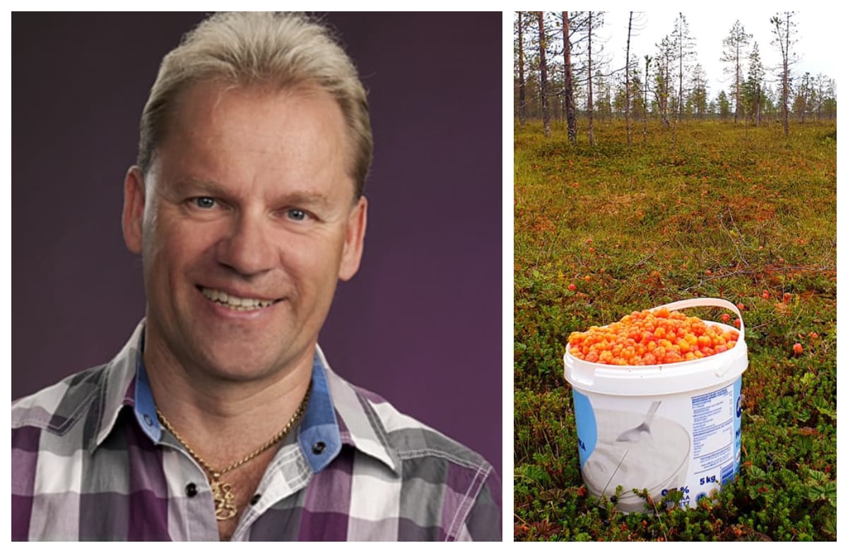 Nyt on hillaa Jukka lampelakin lähti liian pienellä astialla jängälle | tanssiin Fi