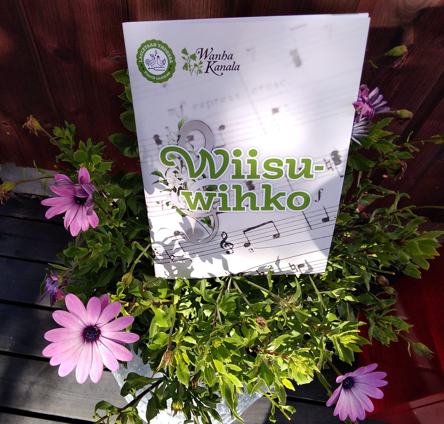 Wiisuvihko kansi