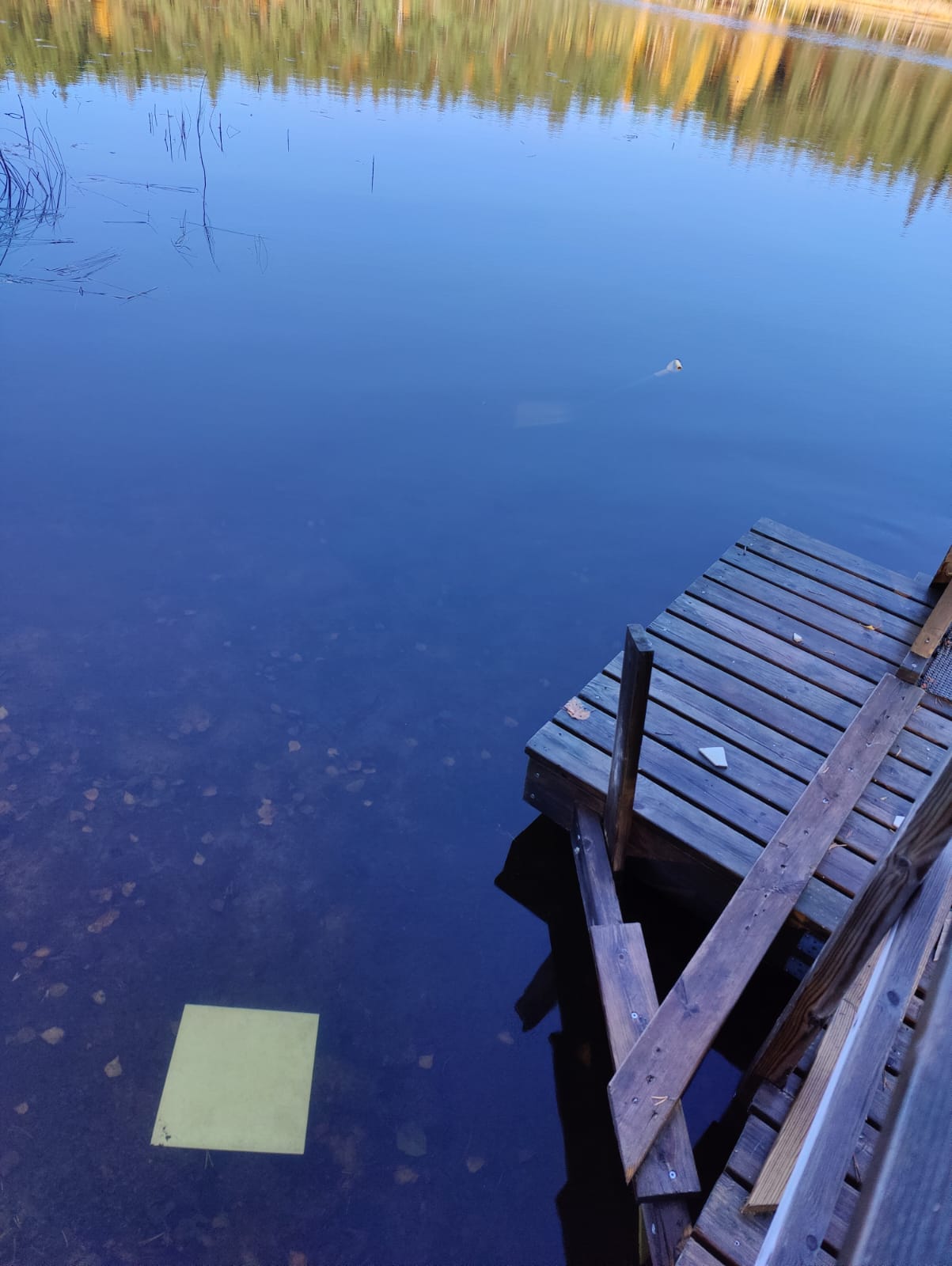 c0c06dfe-2f33-4be8-aace-1f5975e51c90