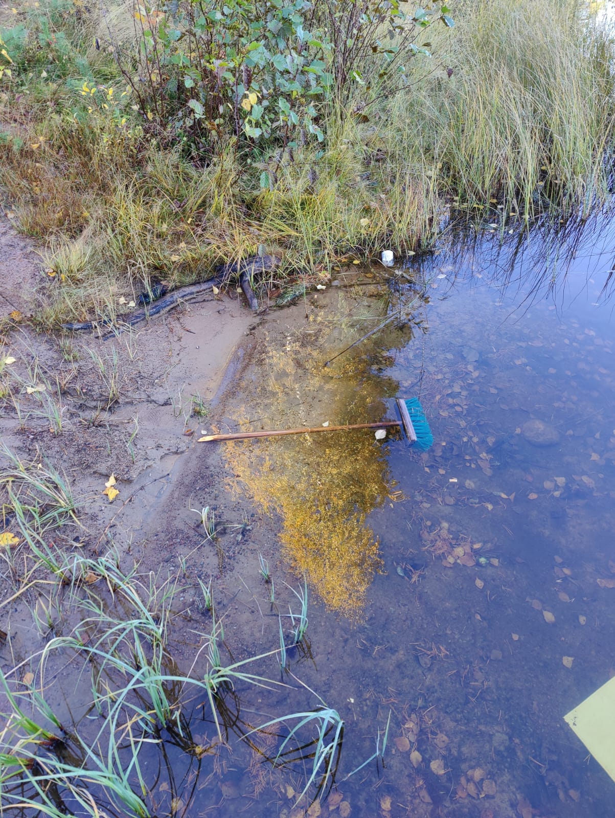 e9e245ba-d678-4186-ba1e-bbf49c24c39f