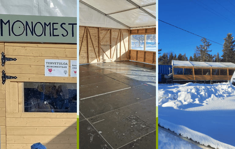 Laanilan monotanssit