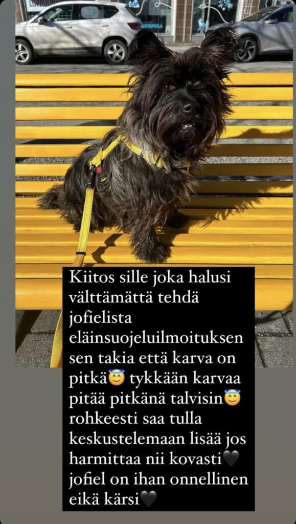 Nina-Akermanin-Jofiel-koira