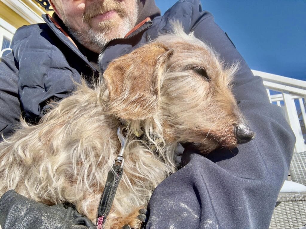 Joel hallikaisen suuri suru raskas päivä | tanssiin Fi