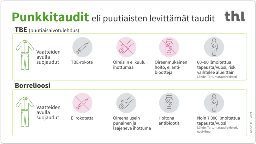 Punkki puri tangofinalistia  sari sairastui ikävään infektiotautiin | tanssiin Fi