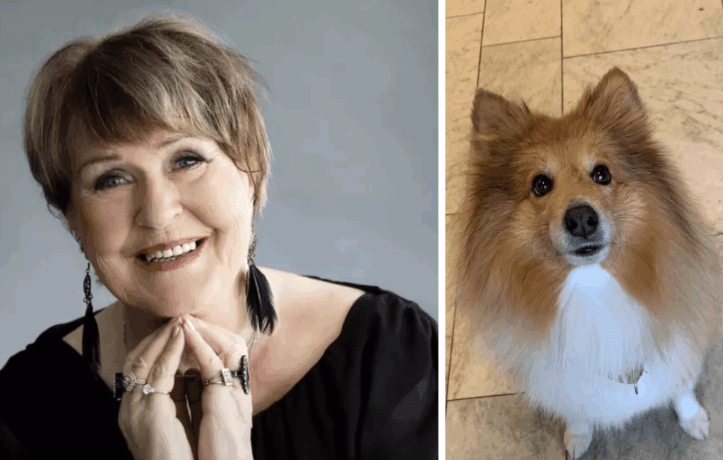 Lea Laven Miso-koira