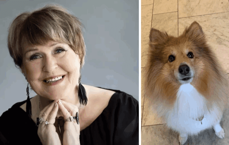 Tanssitähtien kuulumiset ja uutiset | tanssiin Fi   part 22