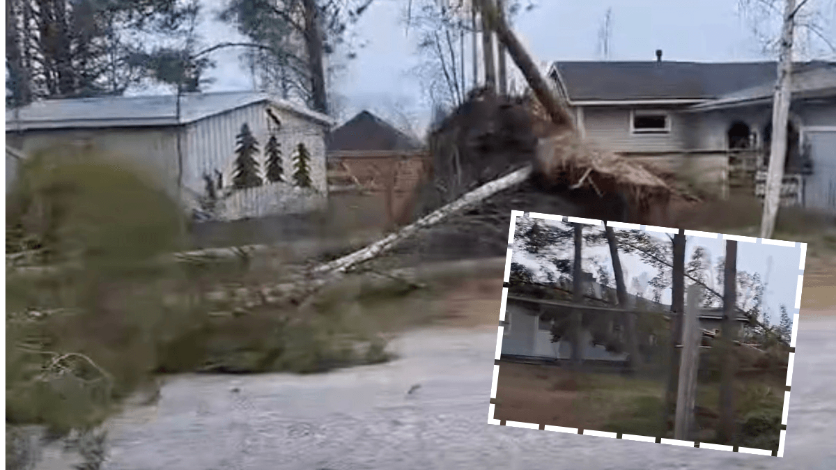 Hannes myrsky iski tanssilavalle puut kaatuivat yppärin merimajalla  video | tanssiin Fi