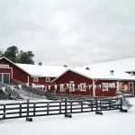 Keikat tanssit ja kuulumiset | tanssiin Fi