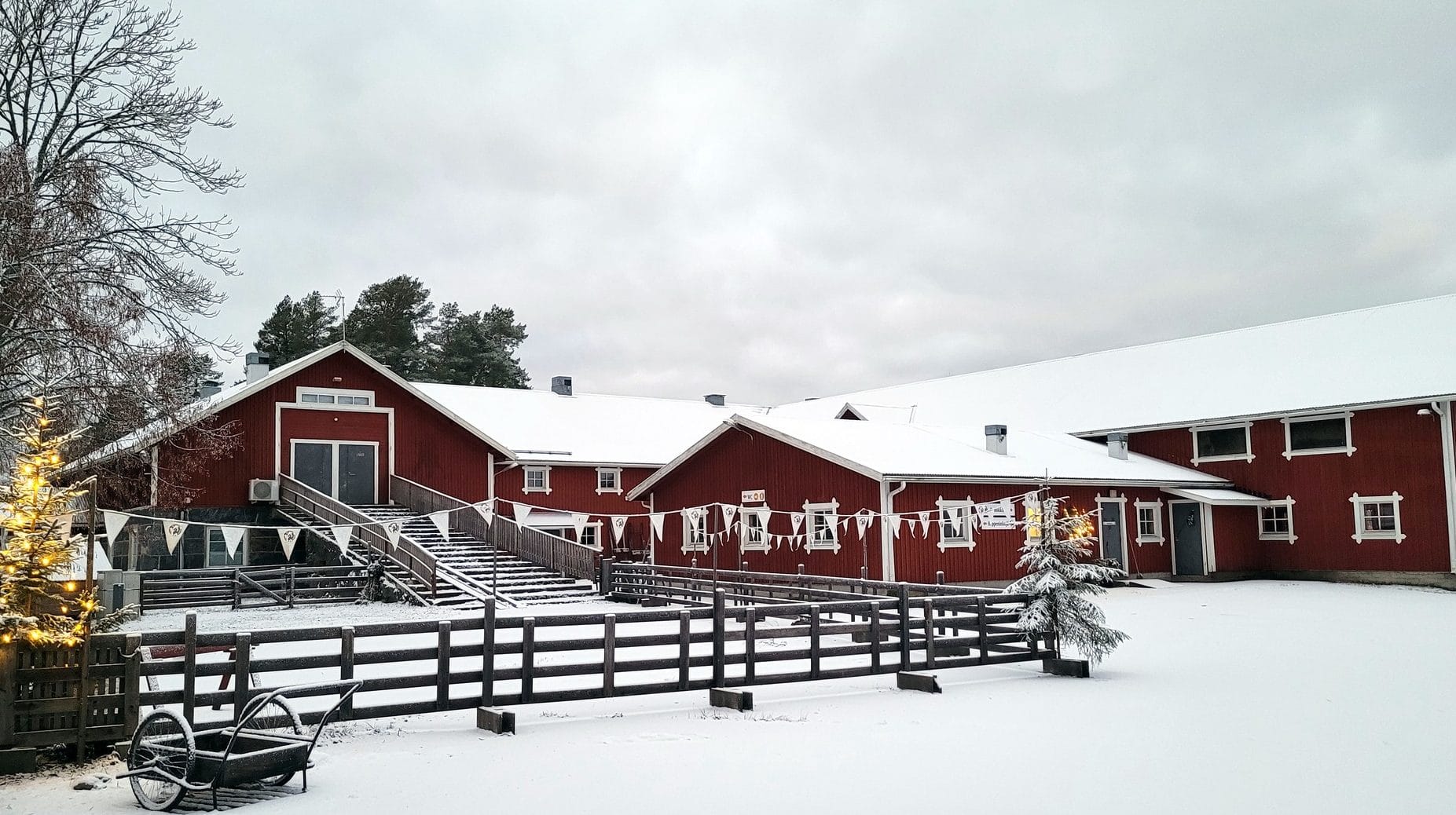 Entinen merikievari tanssittaa jo ympäri vuoden  lavatanssien suosio elpymässä | tanssiin Fi