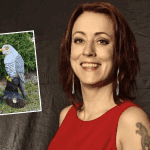 Keikat tanssit ja kuulumiset | tanssiin Fi