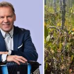 Keikat tanssit ja kuulumiset | tanssiin Fi