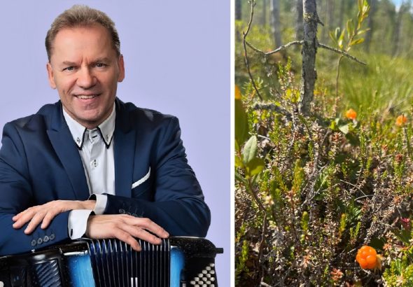 Keikat tanssit ja kuulumiset | tanssiin Fi